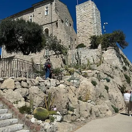 Vieil Rue Du Bateau Antibes