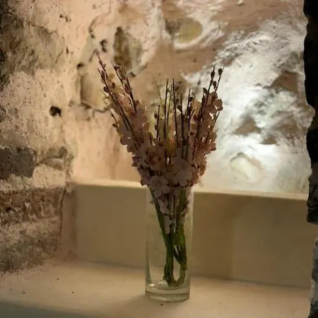 Apartment Vieil Rue Du Bateau *