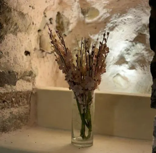 Appartement Vieil Rue Du Bateau *